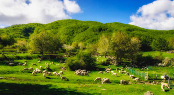 Cooperativa di comunità Valle dei Cavalieri